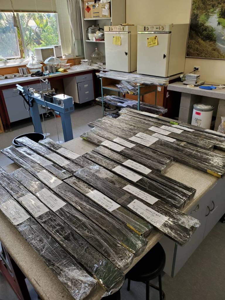 A photo taken in a lab. A table is covered in long plastic pipes, each cut in half lengthwise, containing dark lake sediment, and wrapped in clear plastic. Each segment has a piece of white paper on top with a label.